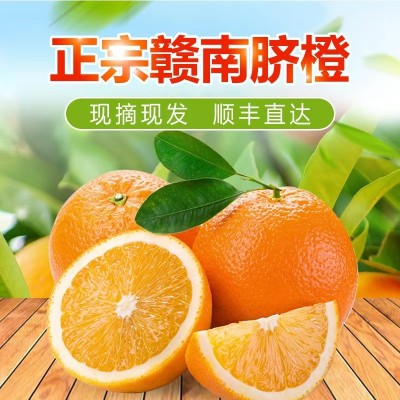 【赣州果园直供】正宗赣南脐橙应季新鲜薄皮橙子超市供应整箱批发图3