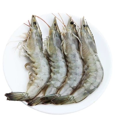 虾-白虾-盐冻大虾冷冻海捕白虾海虾海洋大虾批发商用零售顺丰发货图5