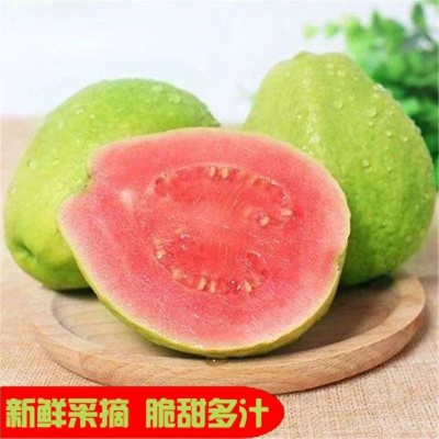 广西新鲜红心芭乐1/2/3/5/9斤热带水果一件代发整箱香甜番石榴图4
