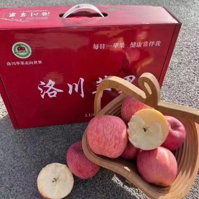 新年礼盒批发陕西洛川苹果【精选礼盒装】脆甜多汁、春节送礼必备图2