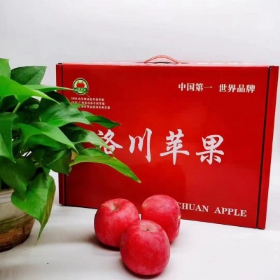 新年礼盒批发陕西洛川苹果【精选礼盒装】脆甜多汁、春节送礼必备图5