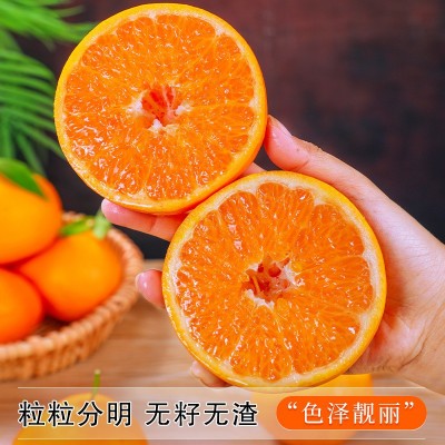 四川正宗耙耙柑丑橘丑八怪桔子当季新鲜生鲜水果一件代发精美礼盒图3