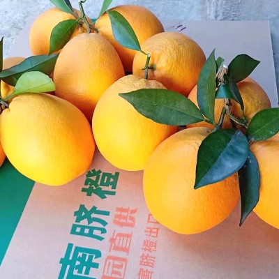 果场批发新鲜橙子正宗赣州脐橙20斤整箱皮薄汁多鲜橙孕妇水果包邮图3