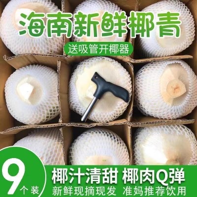 源头供应新鲜海南椰青去皮椰子包邮一件代发图2
