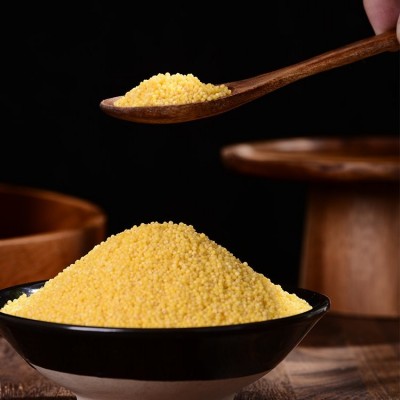高原黄小米 农家五谷杂粮食用 散装500g 低温烘焙图3