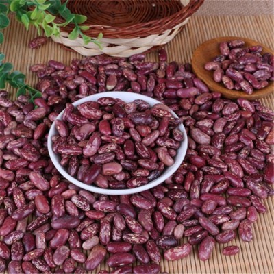 当季花四季豆供应批发 紫花芸豆 饭豆 红腰豆农场直供图3