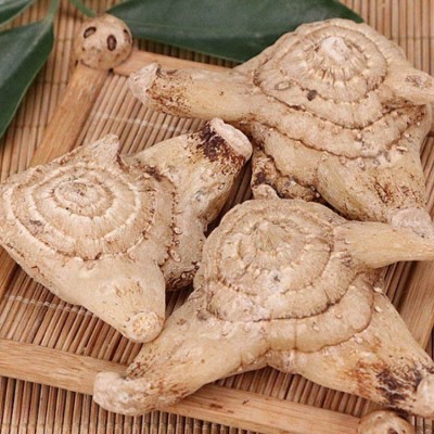 白芨批发供应 中草药种植现货直发 品质可靠 现货直供图4