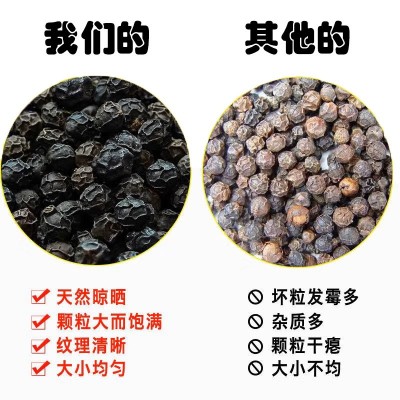 海南黑胡椒 特产黑胡椒粒500g牛排调料烧烤家用可研磨黑胡椒散粉图2