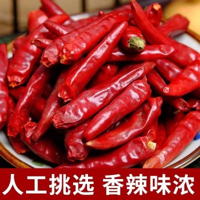 正宗河南内黄新一代干辣椒重庆火锅炒料调味特香特辣皮薄肉厚增色图5