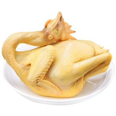 广东特产白切鸡手撕鸡口水鸡凉菜半成品速冻整只真空熟食速食料理图5
