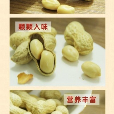 多味花生蒜香卤味山核桃奶香盐焗原味5斤/10斤坚果零食批发图2