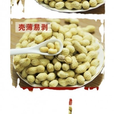 多味花生蒜香卤味山核桃奶香盐焗原味5斤/10斤坚果零食批发图4