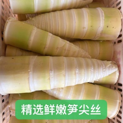 【干货少水】凉拌竹笋丝20斤野生农家脆笋清水笋罗汉笋火锅凉拌菜图3