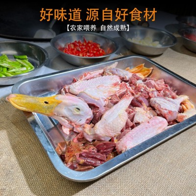 正宗永州血鸭湖南名菜地方特色美食香辣血鸭鸭子批发即食图4