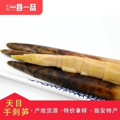 【厂家一手货源】天目雷笋笋干 香辣手剥笋 230g 临安竹笋手撕笋图1
