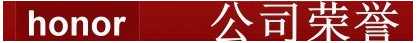 公司荣誉