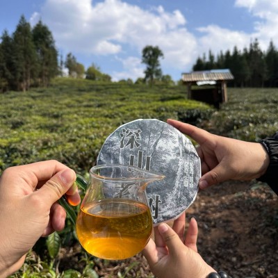 普洱茶/普洱茶生茶/深山老树357克生饼图2