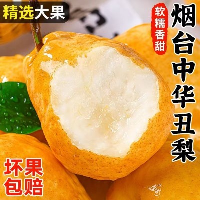 支持礼盒定制烟台中华丑梨太婆梨软糯香甜冰淇淋口感批发代发包邮图1