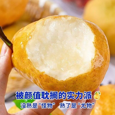 支持礼盒定制烟台中华丑梨太婆梨软糯香甜冰淇淋口感批发代发包邮图2
