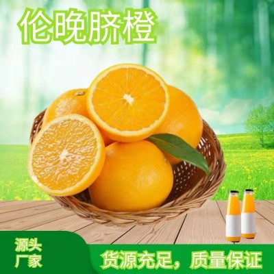 伦晚春橙新鲜水果秭归橙子批发5斤10斤非爱媛果冻橙图2