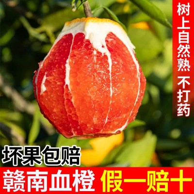 【顺丰包邮】赣南血橙大果应季红肉脐橙年货送礼新鲜水果橙子批发图3