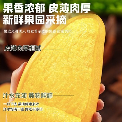 海南金煌芒头茬当季新鲜现摘芒果应季水果爆甜多汁大果3斤/5斤装图4