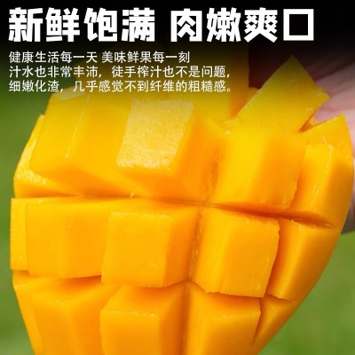海南金煌芒头茬当季新鲜现摘芒果应季水果爆甜多汁大果3斤/5斤装图2
