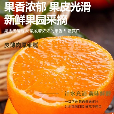 【精选】广西武鸣沃柑新鲜应季水果薄皮大果批发柑橘9-10斤装图4