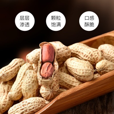 带壳多味花生2.5kg坚果核桃奶香味水煮花生米大包装小吃零食 批发图2