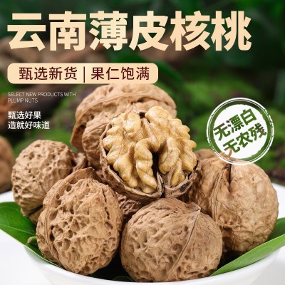 年货核桃云南薄皮核桃带壳生核桃散装批发代发坚果零食新 货核桃