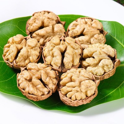 年货核桃云南薄皮核桃带壳生核桃散装批发代发坚果零食新 货核桃图5