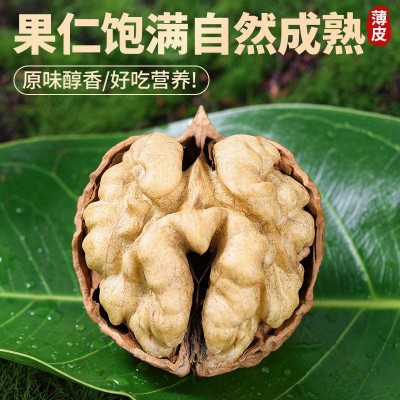 年货核桃云南薄皮核桃带壳生核桃散装批发代发坚果零食新 货核桃图2