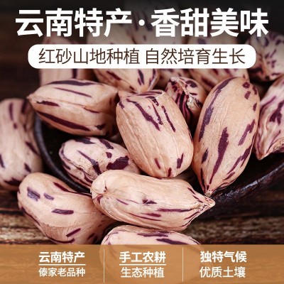七彩花生米云南特产带壳晒干批发代发商用新货花生原味五 彩花生米图2